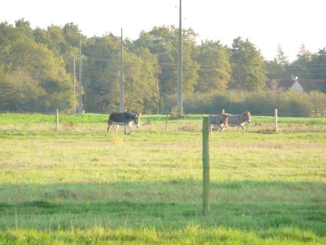 Balthazar et leonard Arrivee (28).jpg